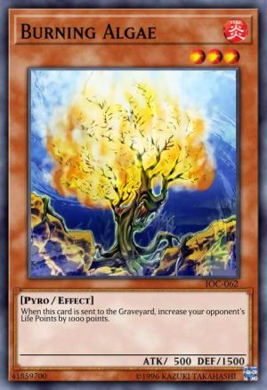 Burning Algae - (Invasion of Chaos) - (IOC-EN062) - (Common)