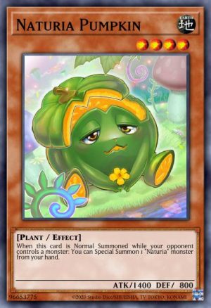 Naturia Pumpkin - (Hidden Arsenal Chapter 1) - (HAC1-EN117) - (Common)